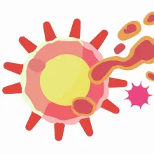Candida auris letală illustratie